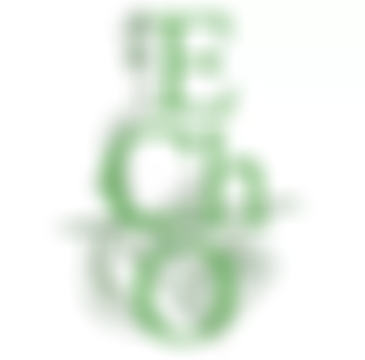 The Enfield Chamber Orchestra | Charici