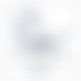 The Syder Foundation | Charici