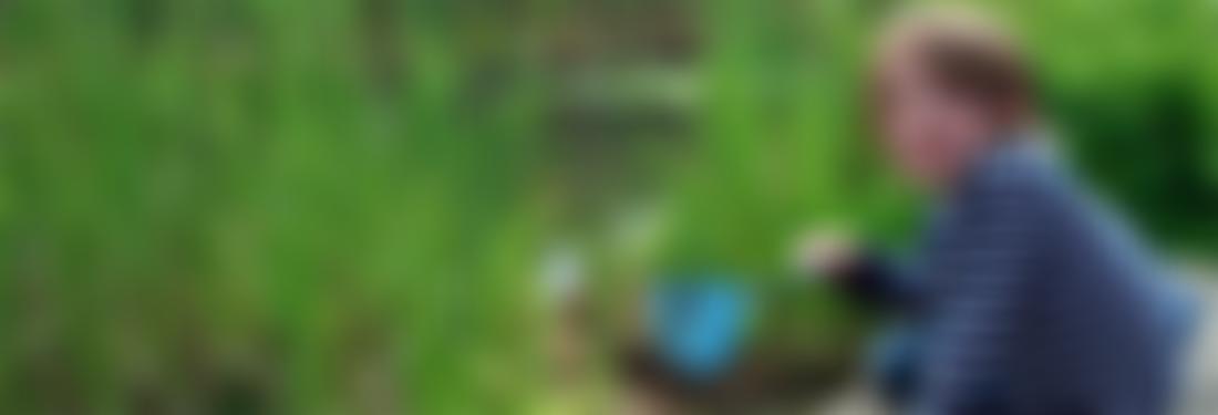 Friends Of Greenwich Peninsula Ecology Park | Charici