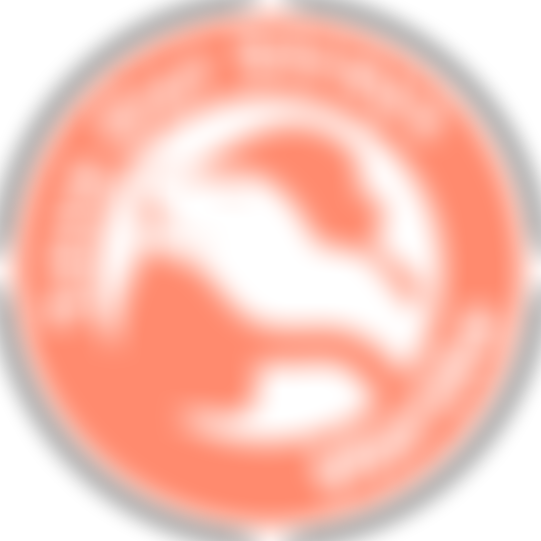 Save Our Strays | Charici