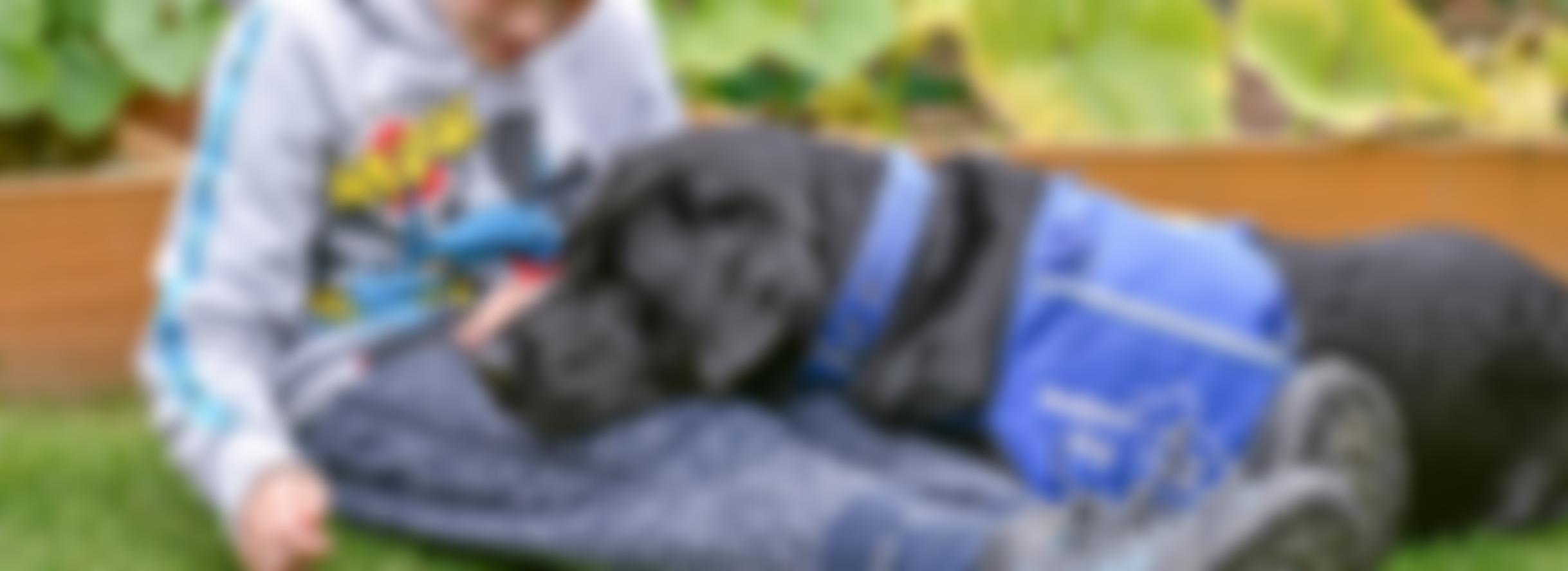 Assistance Dogs (UK) | Charici
