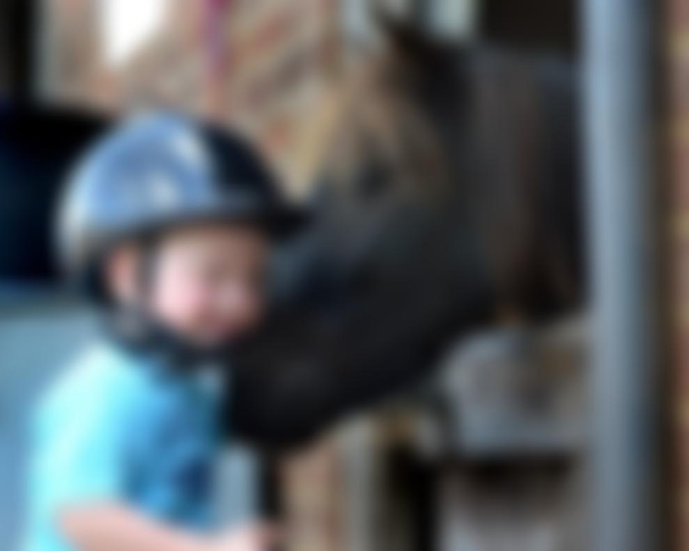 The Saddlers' Company Charitable Fund | Charici