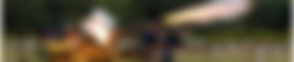 Fernhurst Furnace Preservation Group Ltd | Charici