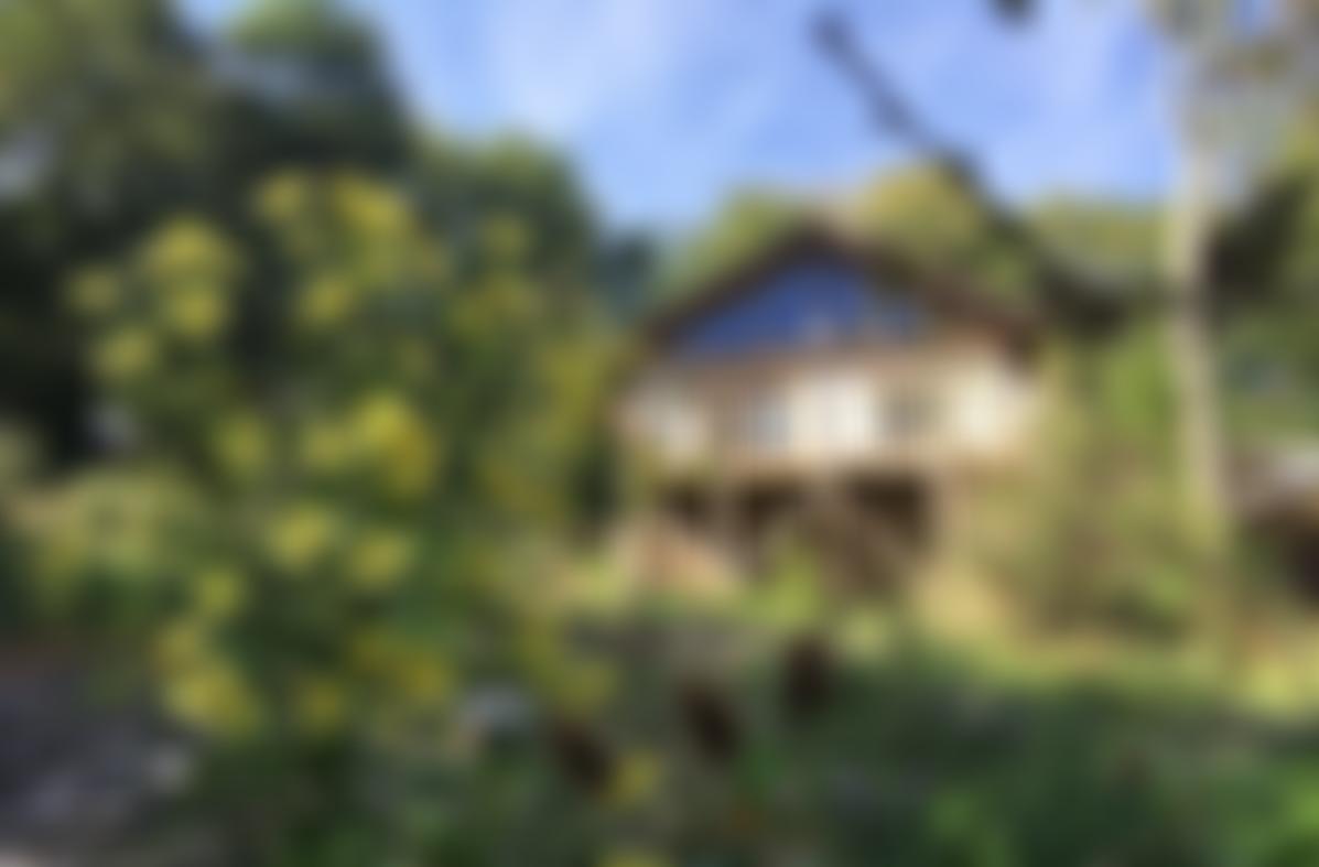 Moulsecoomb Forest Garden And Wildlife Project | Charici