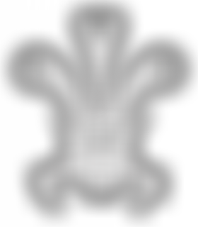 Sws Cymru Support With Scoliosis | Charici