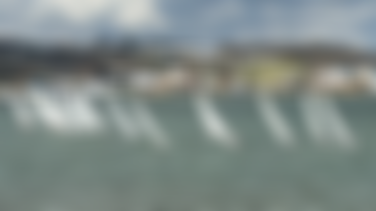 Bembridge Harbour Trust | Charici