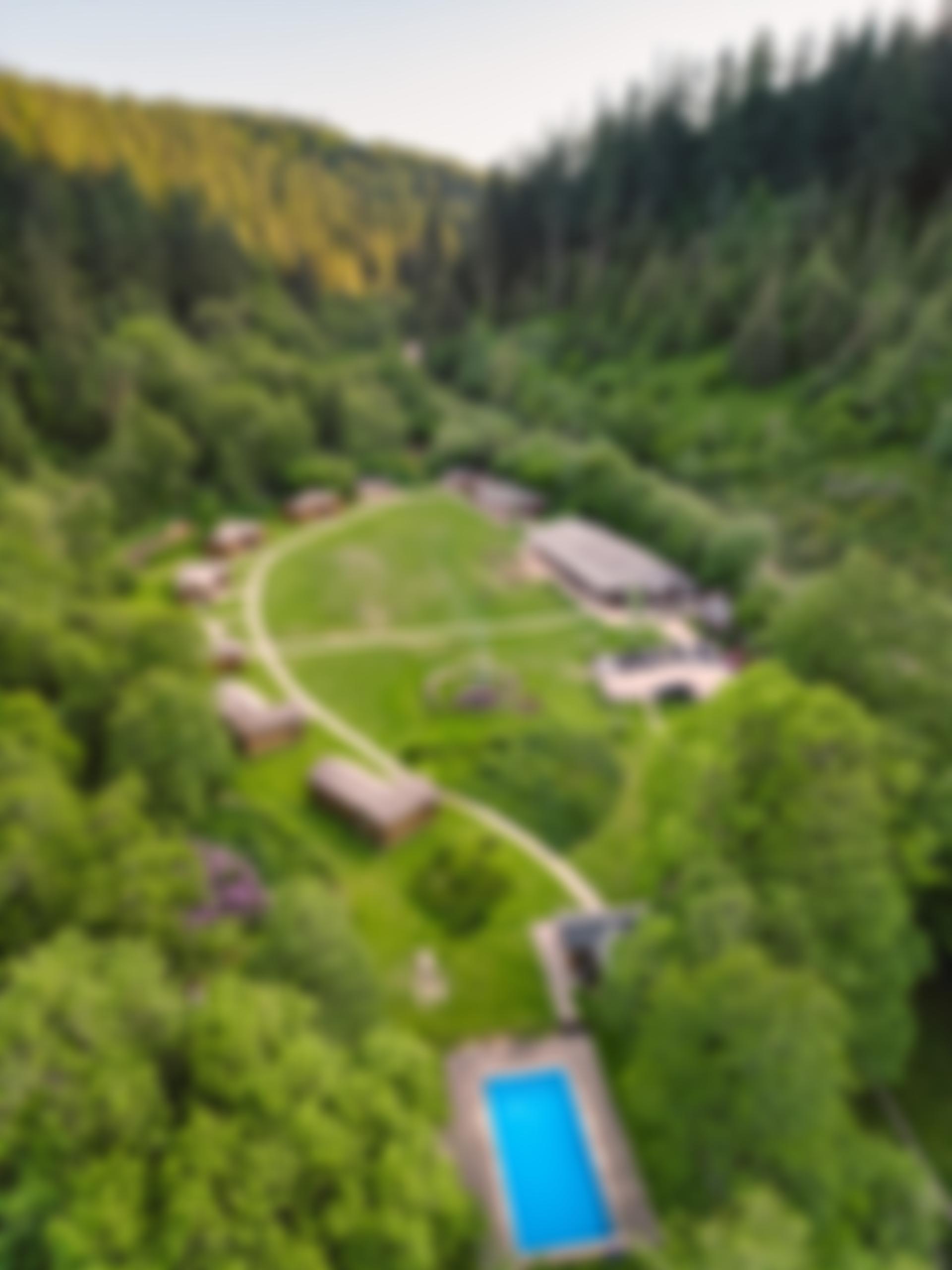 The Great Wood Trust | Charici