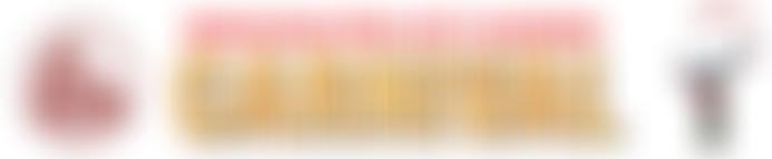 Bridgwater Guy Fawkes Carnival Limited | Charici