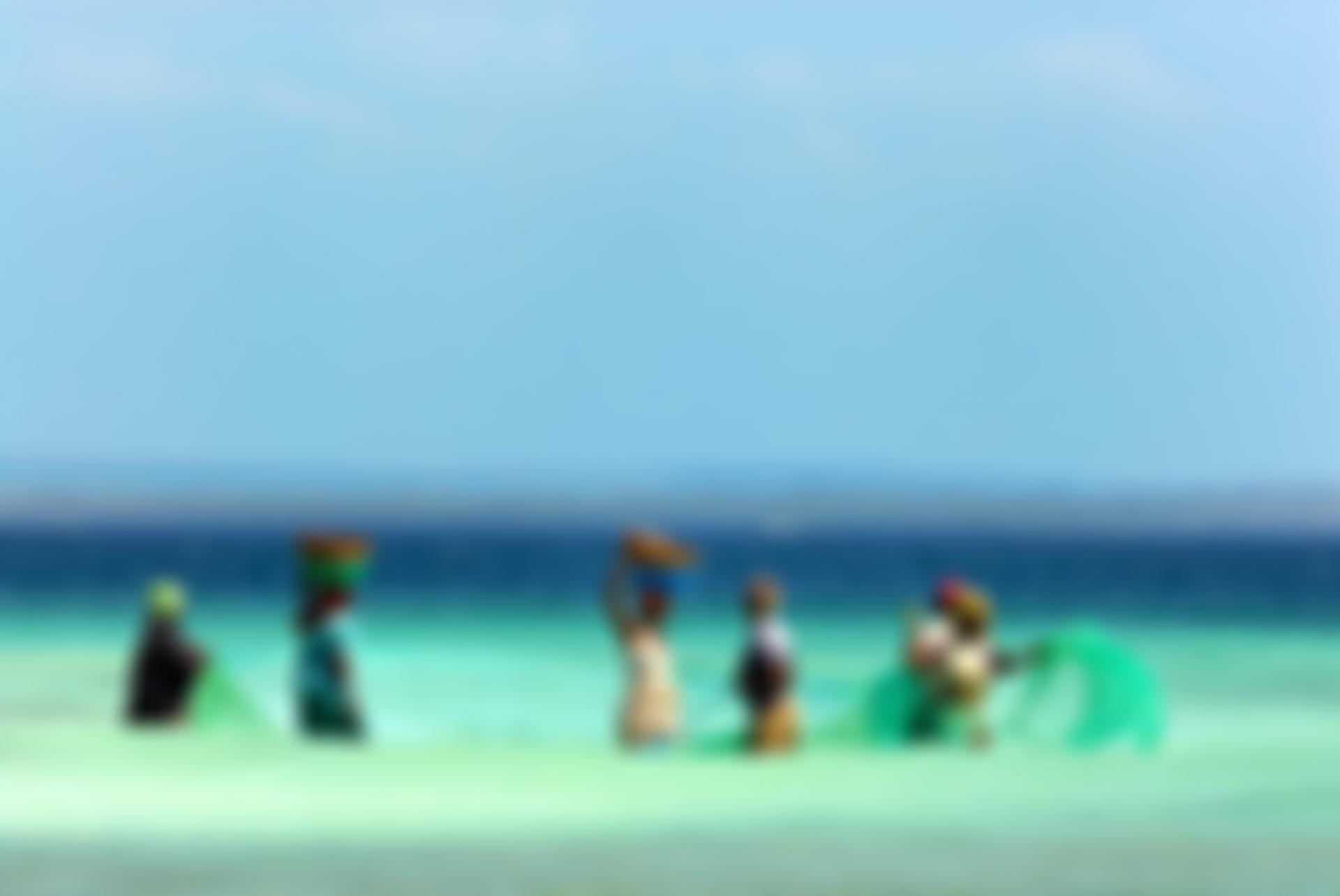 The Odyssey Conservation Trust | Charici