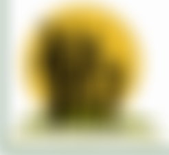 Atorkor Development Foundation | Charici