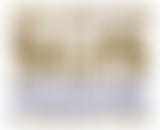 Support Our Soldiers | Charici