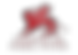 Venice In Peril Fund | Charici