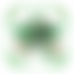 Pakistan Forum Nottingham | Charici