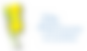 The Primrose Centre Limited | Charici