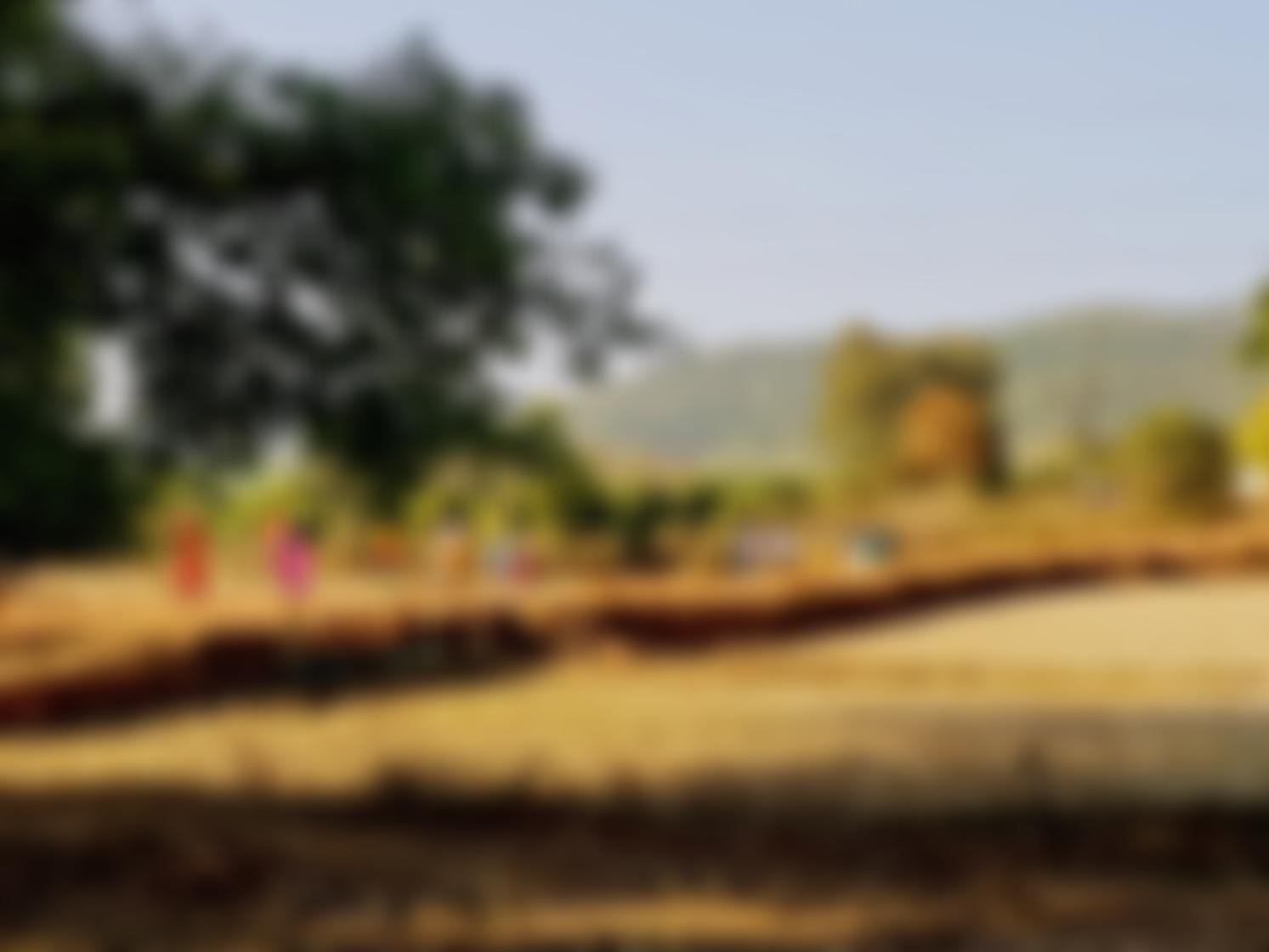 The Centre For Global Equality Limited | Charici