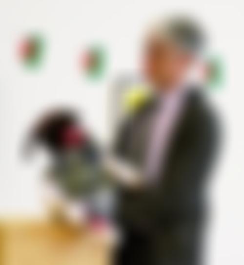 Menter Ysgolion Cymraeg | Charici