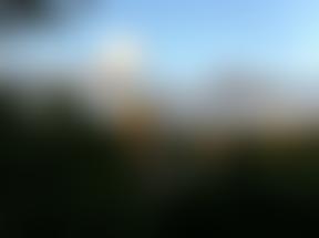 Bristol Medico-Chirurgical Society | Charici