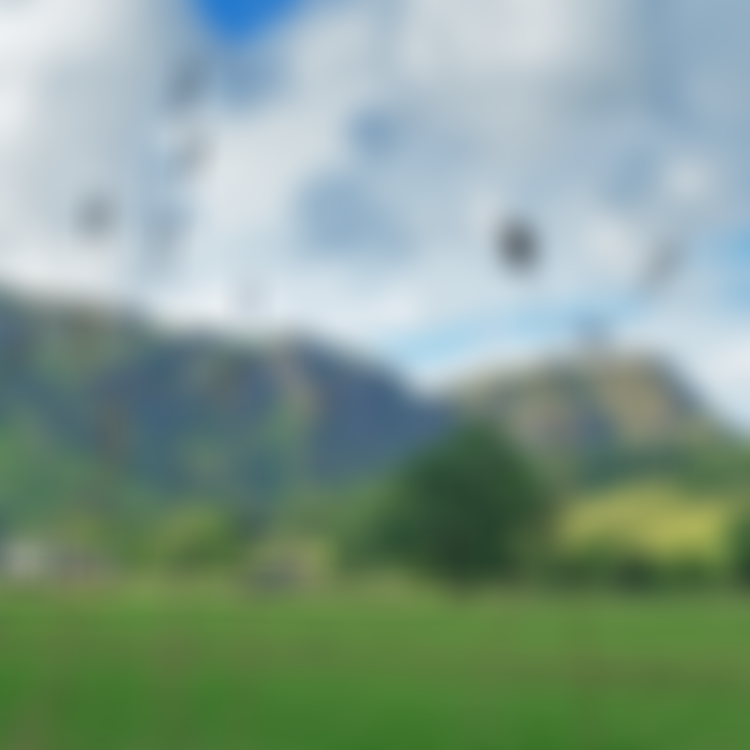 Coniston Sports And Social Centre | Charici