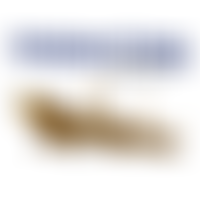 Stockman Wood Charitable Trust | Charici