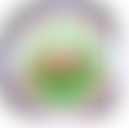 Salem Health Project | Charici