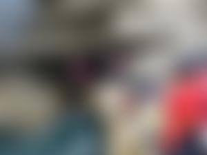 1St Titchfield Sea Scout Group | Charici