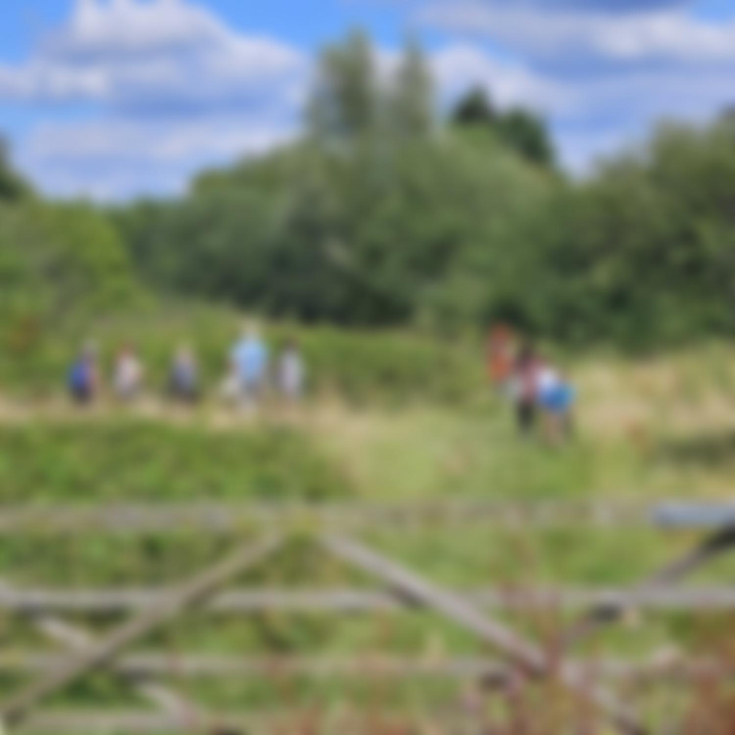 Long Lane Pasture Trust | Charici