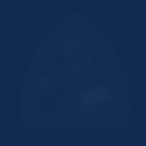 Friends Of The Cottesloe School | Charici