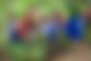 Village Africa | Charici