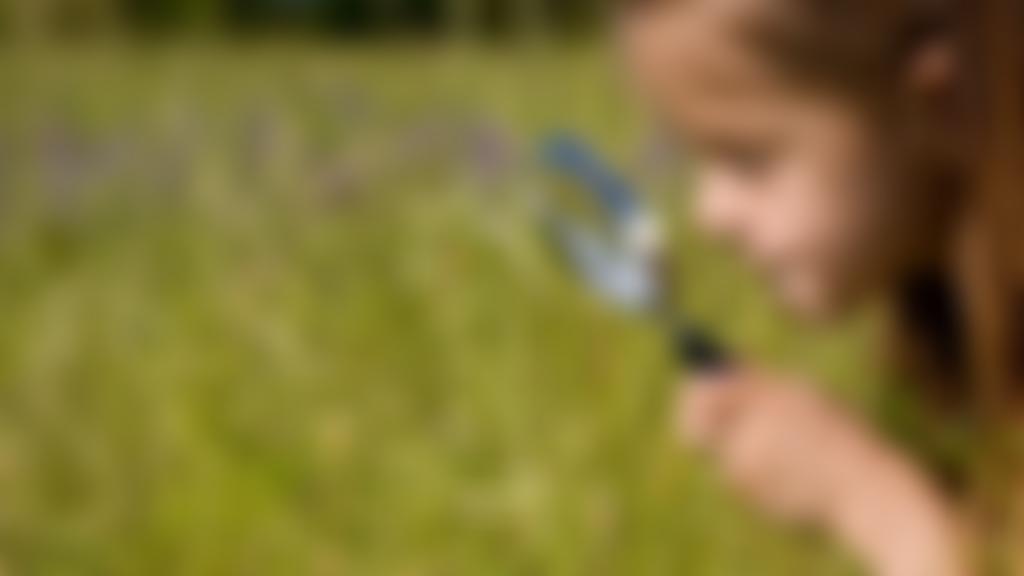 Eden - Rose Coppice Trust | Charici