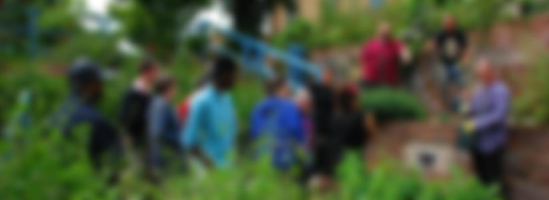 St Sidwell's Centre, Exeter | Charici