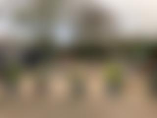 Reepham Pre School | Charici