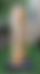 British Antarctic Monument Trust | Charici