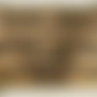 The Roddy Scott Foundation | Charici