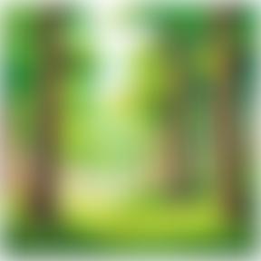 Newbottle And Charlton Parent Teacher And Friends Association | Charici