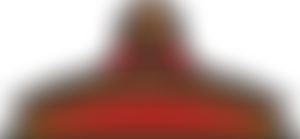 Lms-Patriot Company Limited | Charici