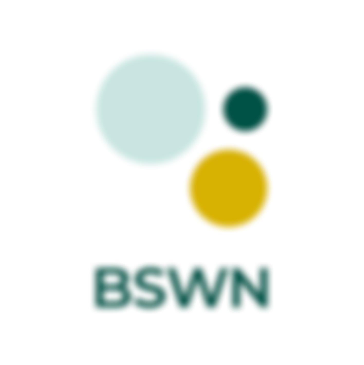 Black South West Network | Charici