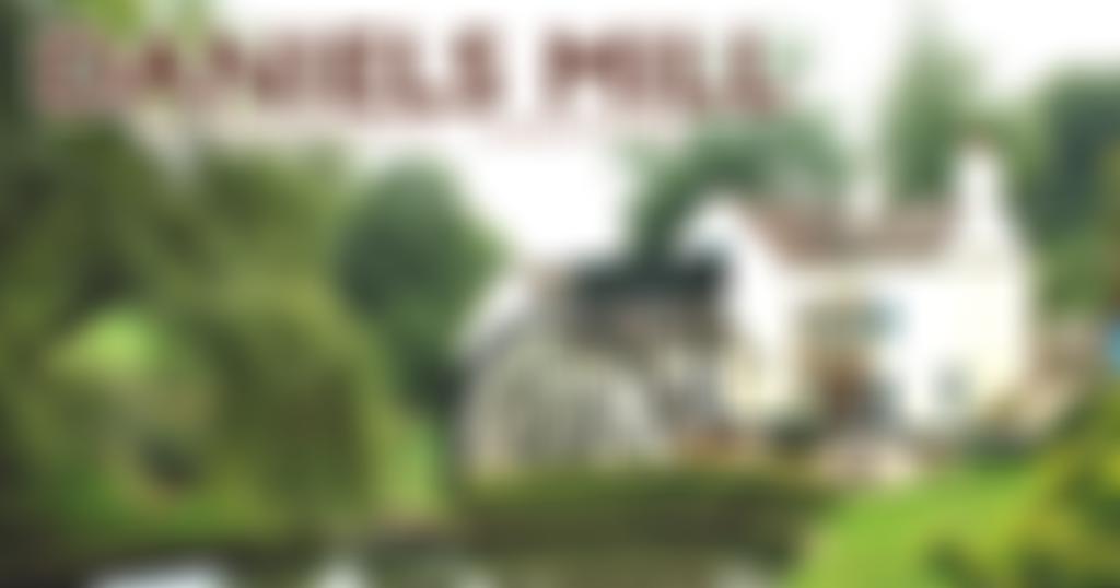 Daniels Mill Trust | Charici