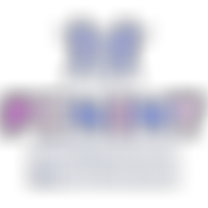 Family Empowerment Network International | Charici