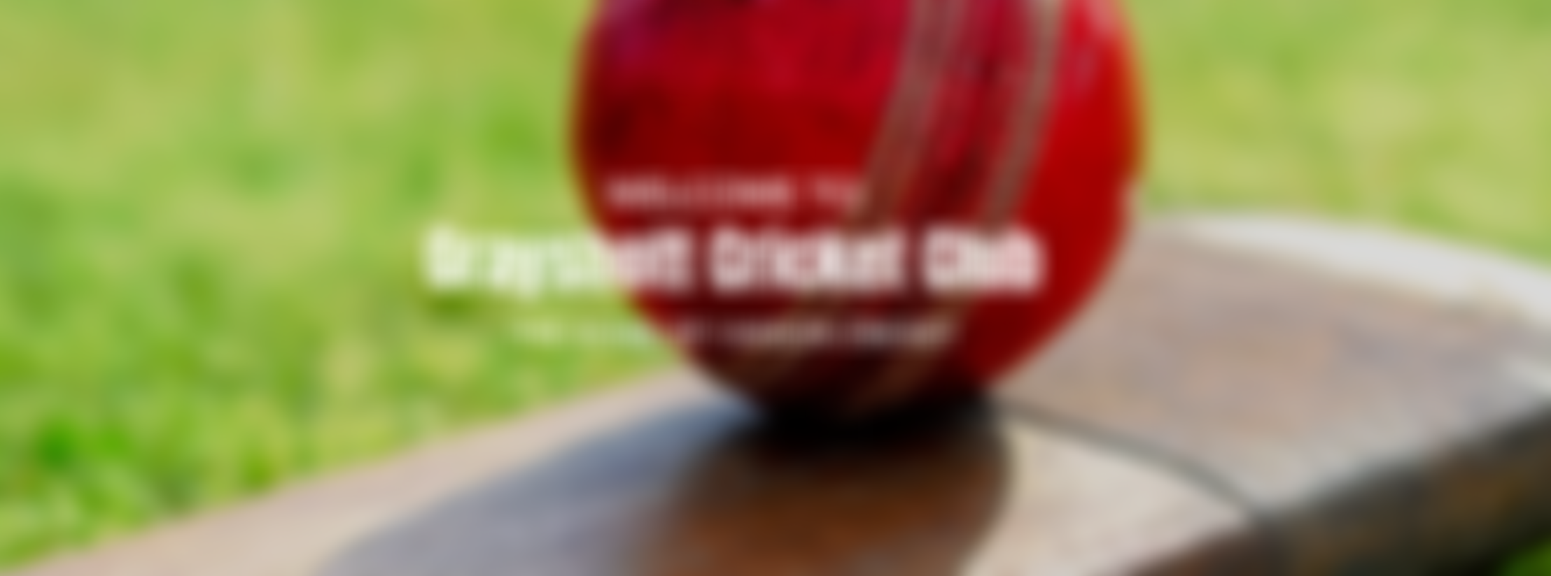 Grayshott Cricket Club | Charici
