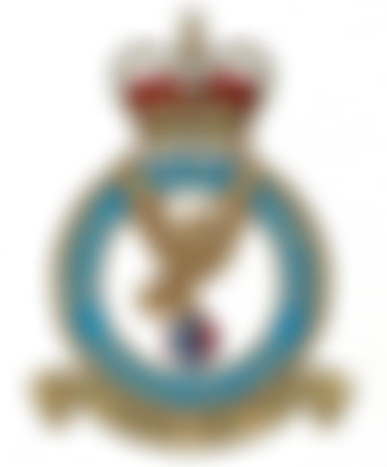 The Royal Air Forces Association Chingford Branch | Charici