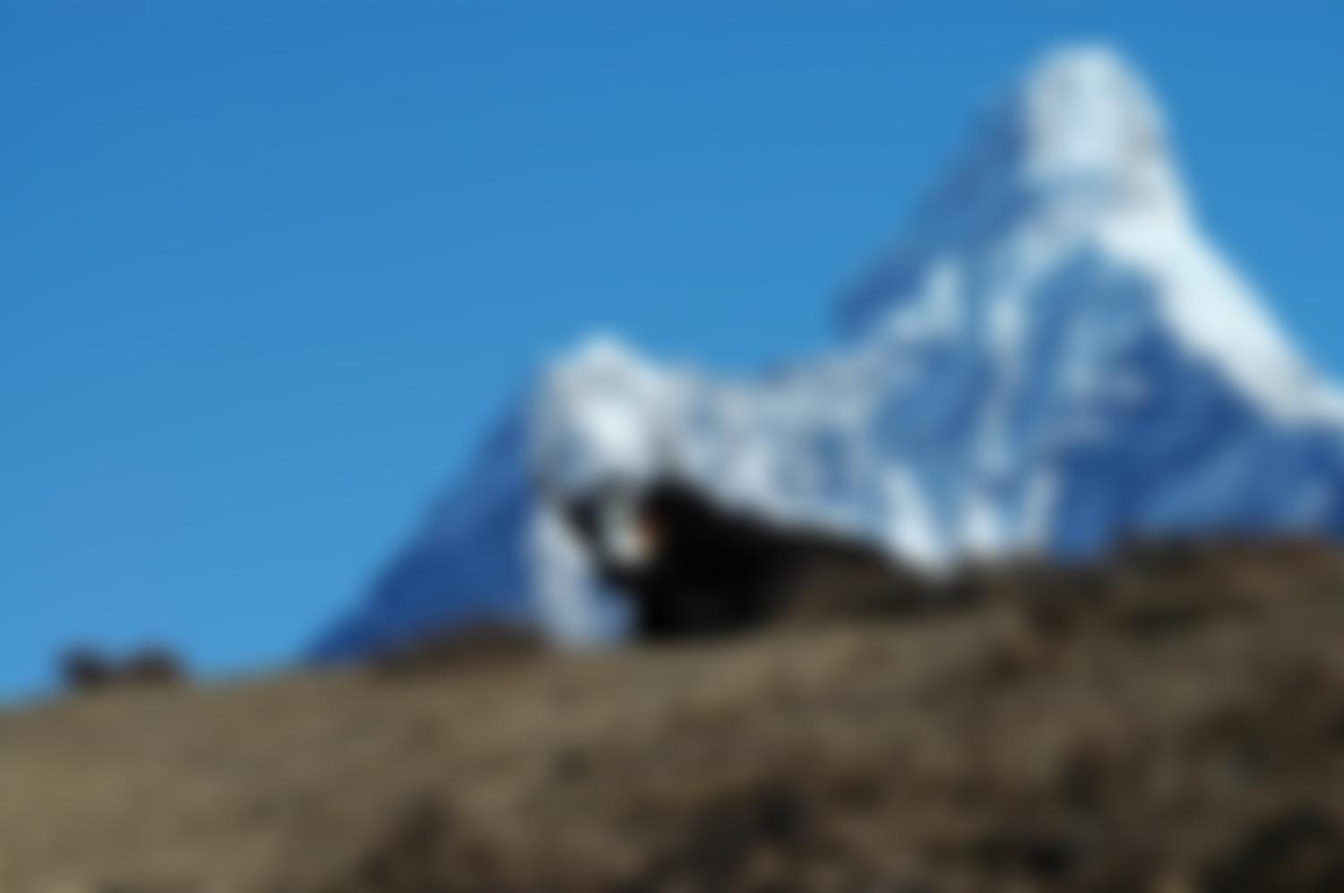 Health Exchange Nepal (UK) | Charici