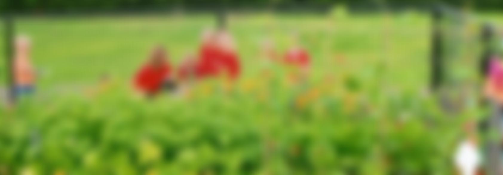 Peasmarsh Flying Start Pre-School And Peasmarsh Parent And Toddler Group | Charici