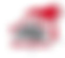 Harlow Steelband | Charici