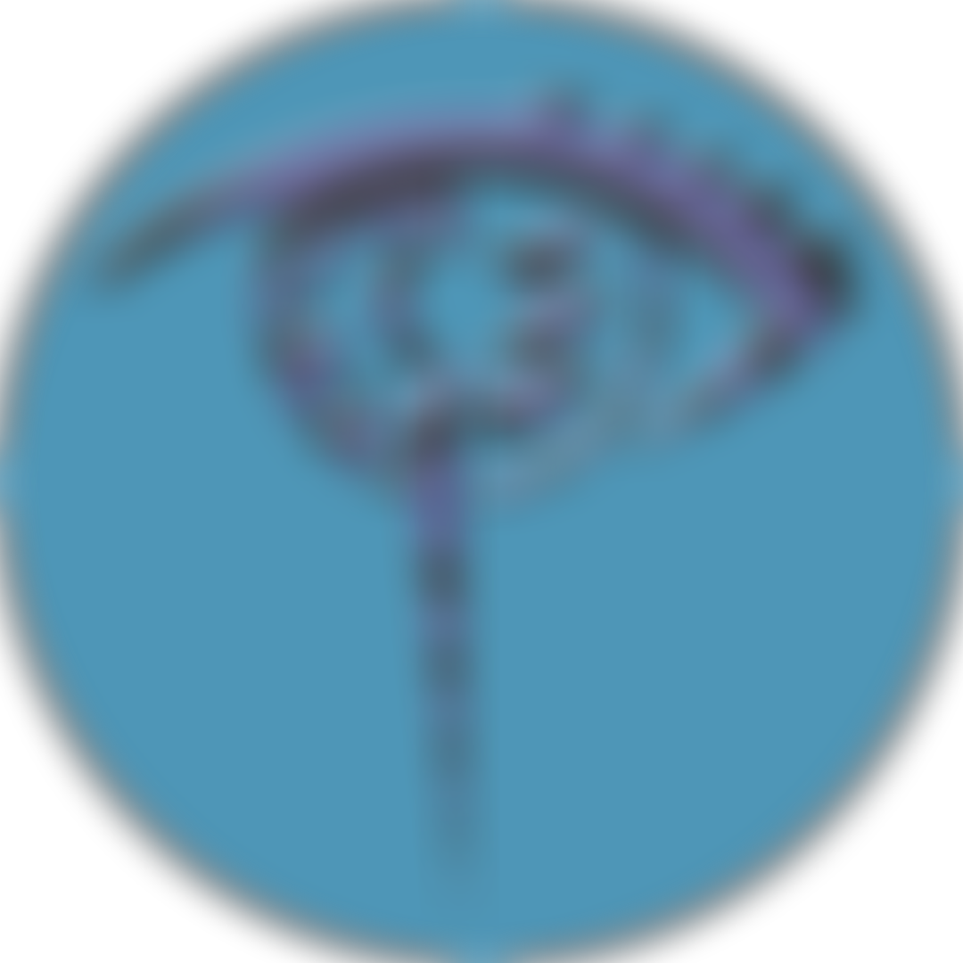 The Ipswich Society | Charici
