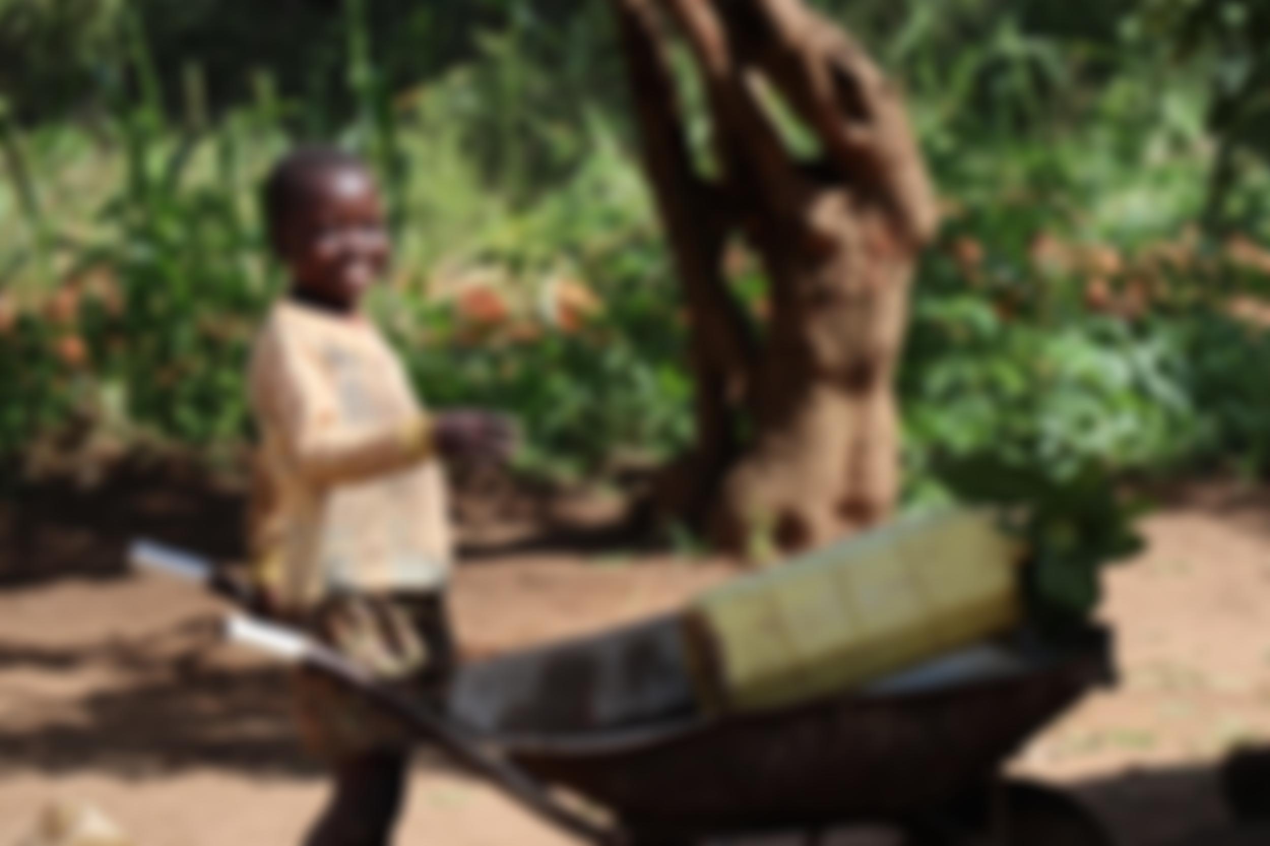 Seeds For Development | Charici