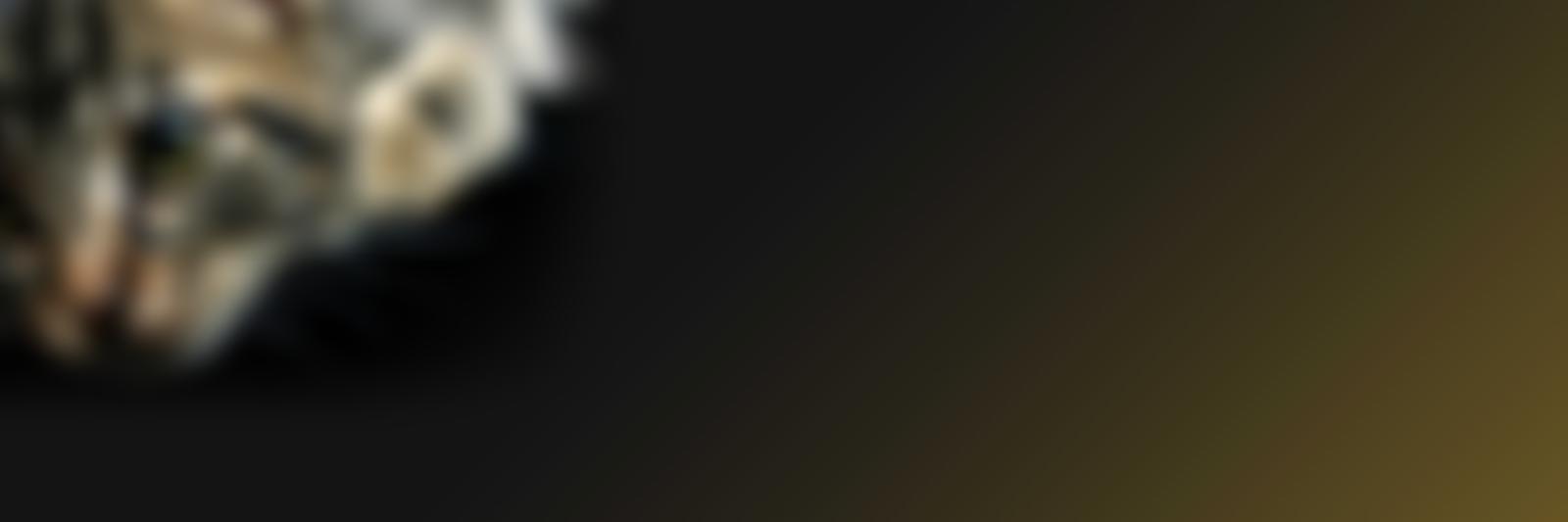 Feline Friends (Derbyshire) | Charici