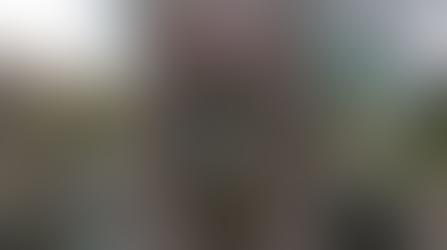 L'academie Internationale De La Pipe | Charici