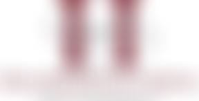 Hillsborough Arena Sports Association | Charici