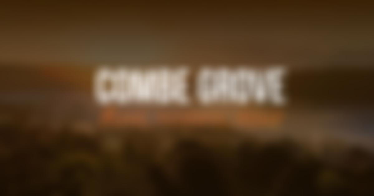 The Elmhurst Foundation | Charici