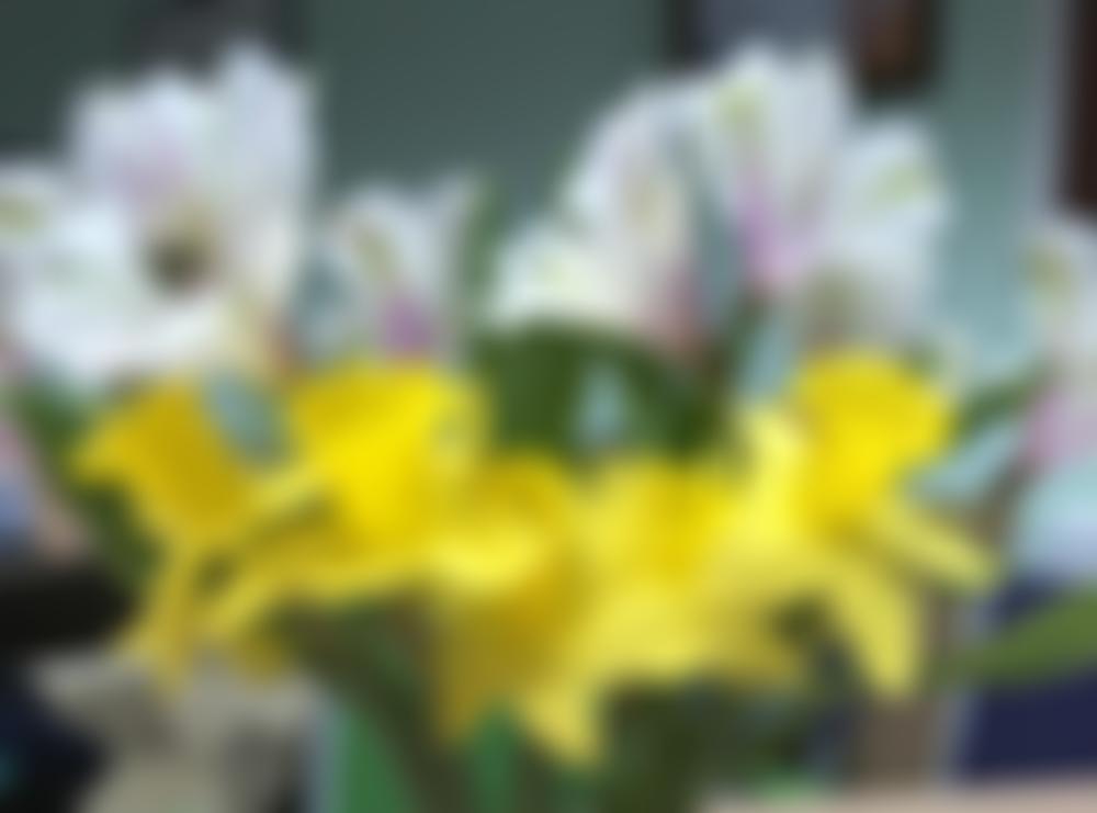 H.o.p.e. Multiple Sclerosis Therapy Centre | Charici